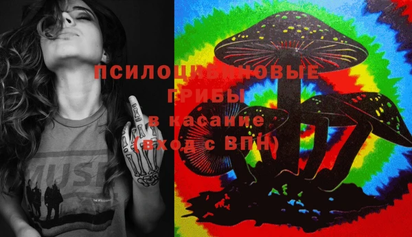 ECSTASY Алексин