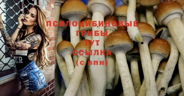 герыч Алзамай