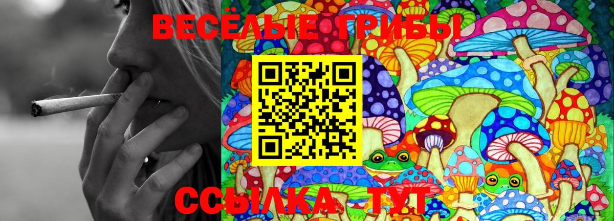 Галлюциногенные грибы мухоморы Искитим